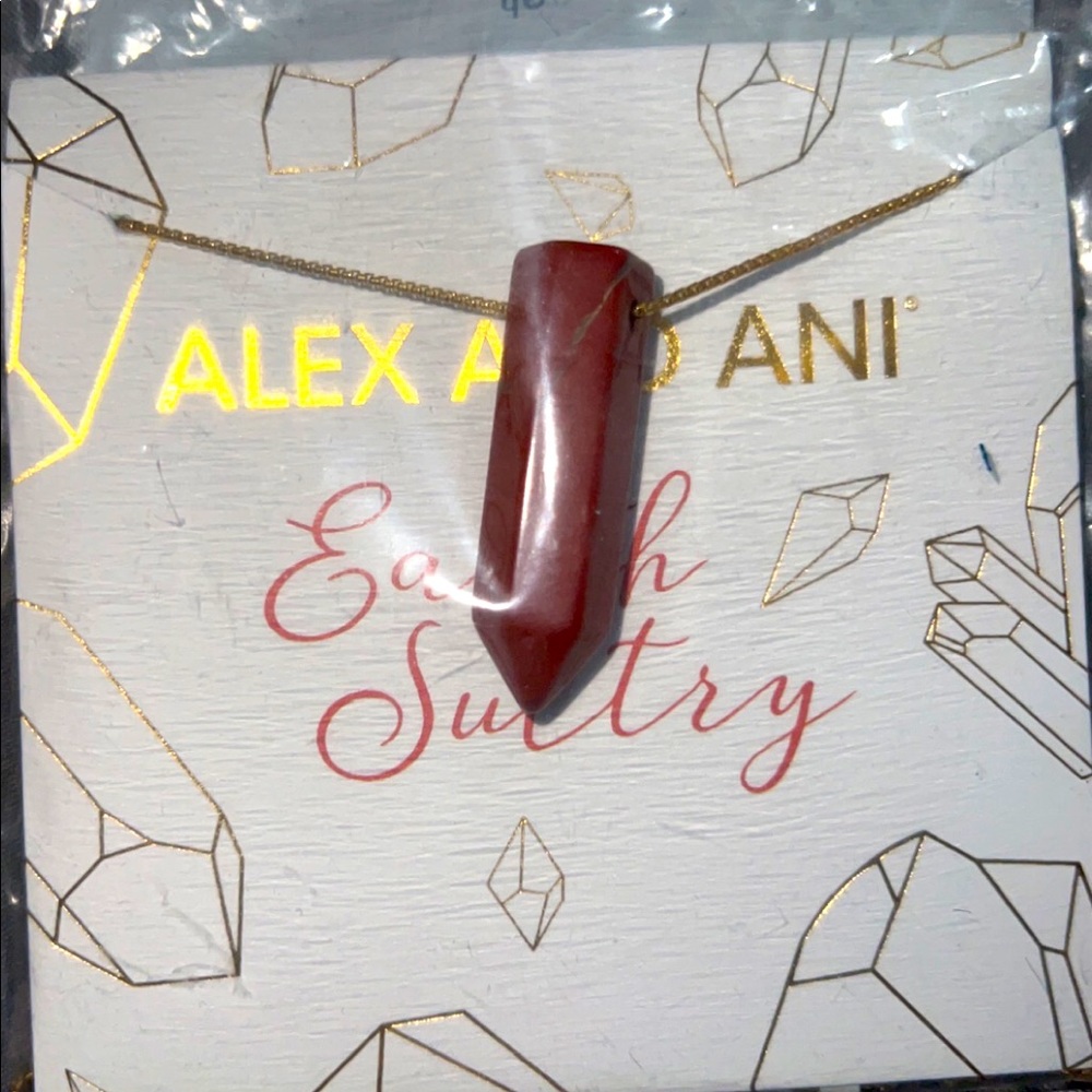 Alex and Ani sterling silver necklace